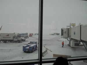 Where are thou, plant?