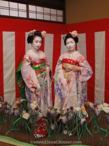 pontocho maiko
